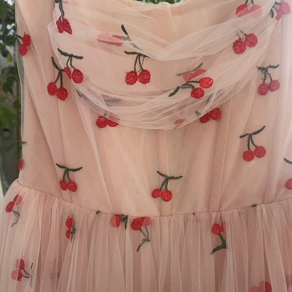 Teuta Matoshi Cherry Tulle Dress – NEW – Handmade Blush Midi Gown - Picture 5 of 5
